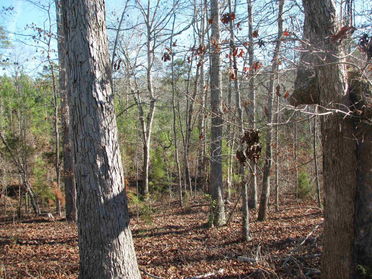 0 Buckhead Rd. Photo 21