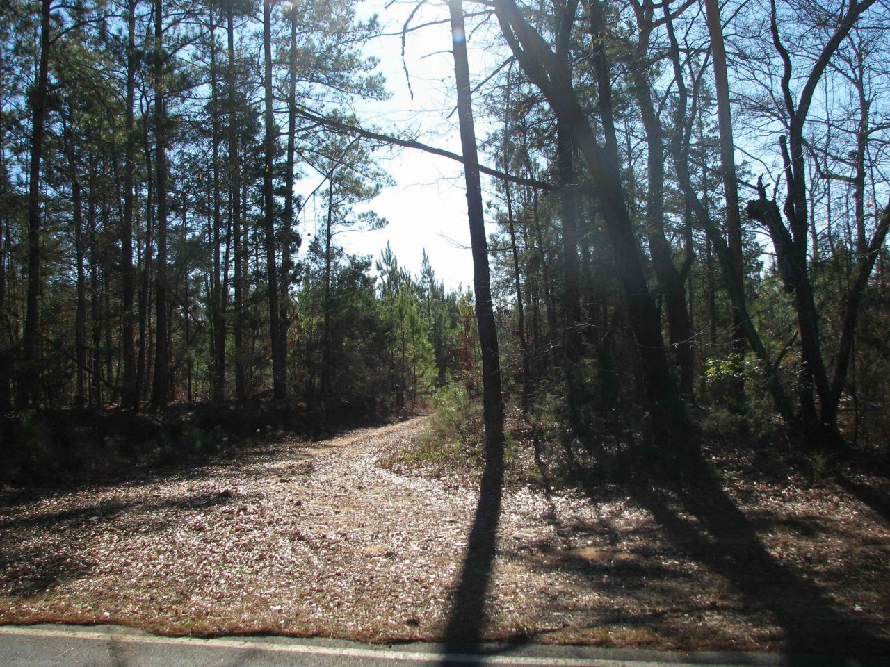 0 Buckhead Rd. Photo 23