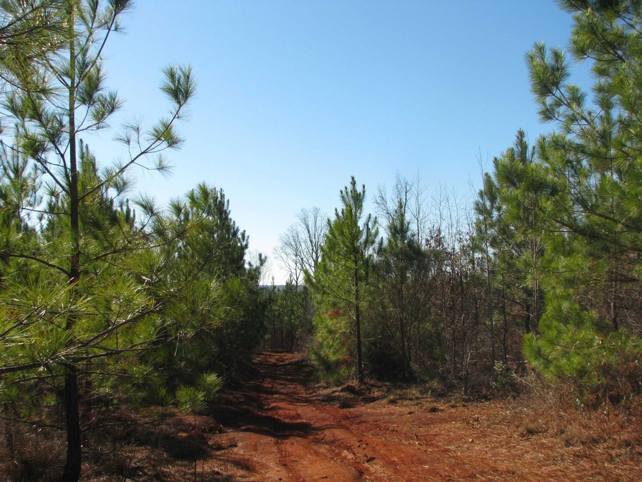 0 Buckhead Rd. Photo 27