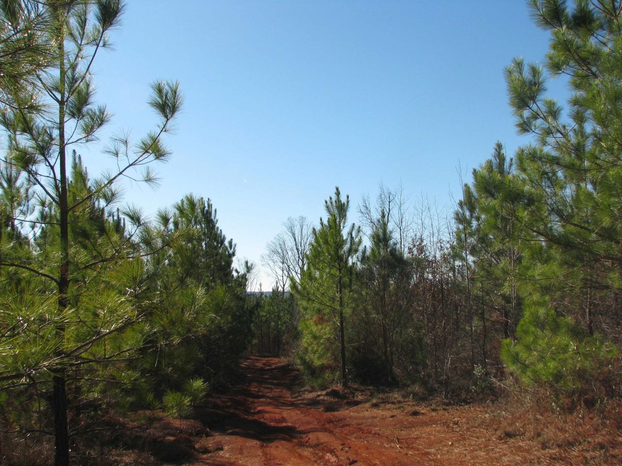 0 Buckhead Rd. Photo 28