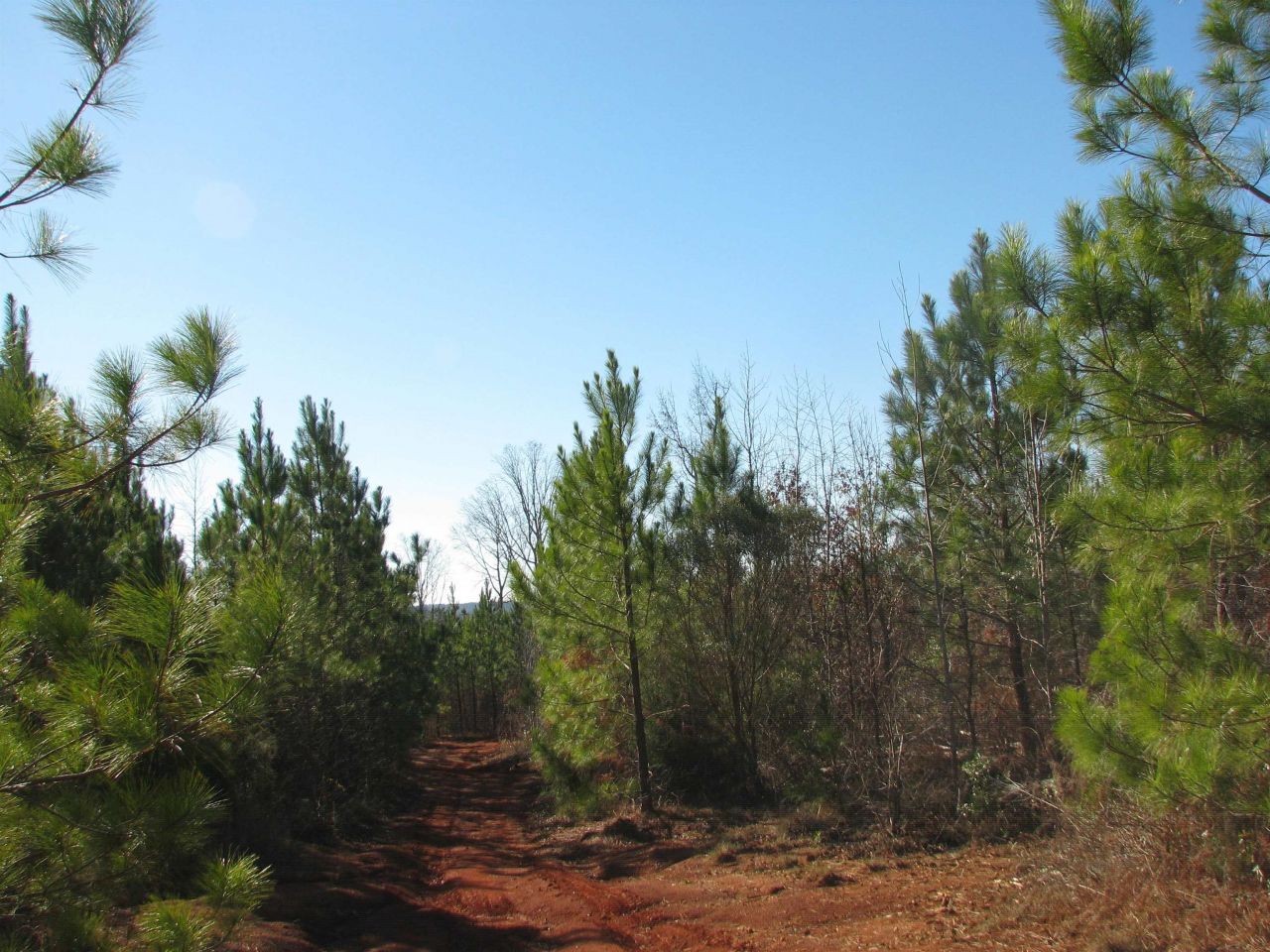 0 Buckhead Rd. Photo 29