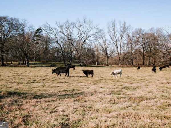 0 Crawfordville Road, Stephens, GA 30667