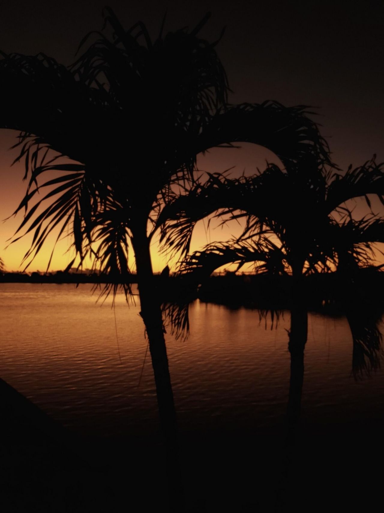 201 Coppitt Road, Unit 204B, Big Coppitt, FL 33040 Photo