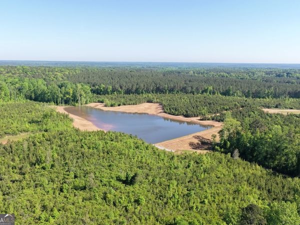 178.235 AC Rocky Mount Road, Luthersville, GA 30251