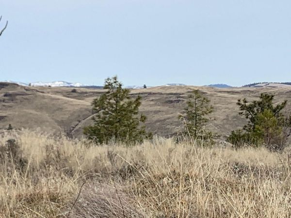 31805 Ruffed Grouse E Dr, Davenport, WA 99122