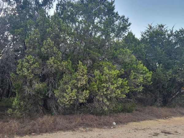 0 Tbd (Oak Ridge - lot 22), Spring Branch, TX 78070