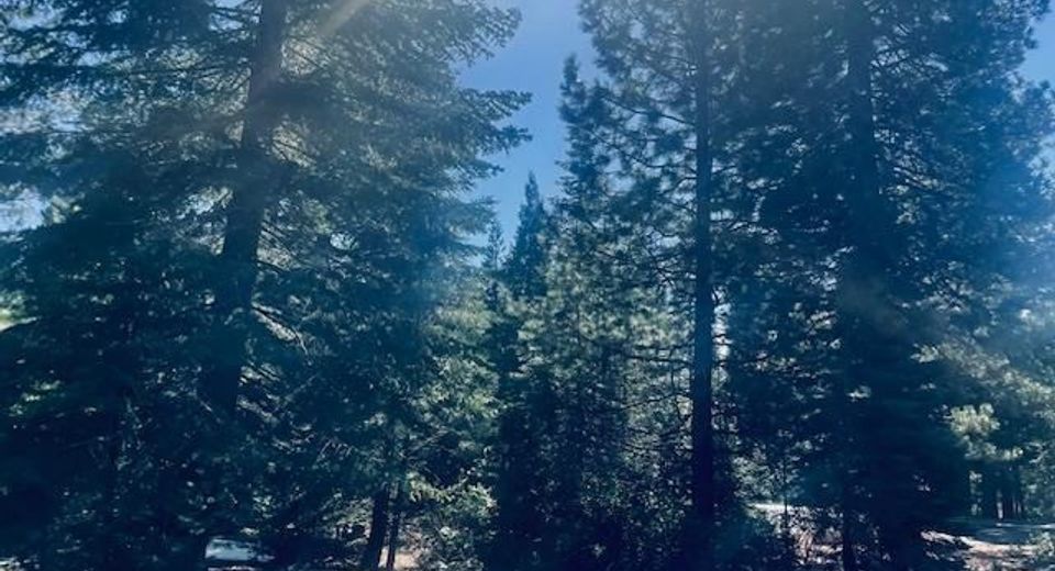 27 Grand Fir Road, Lake Almanor, CA 96137 Photo