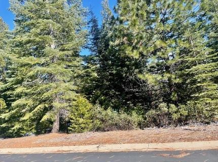 27 Grand Fir Road, Lake Almanor, CA 96137 Photo