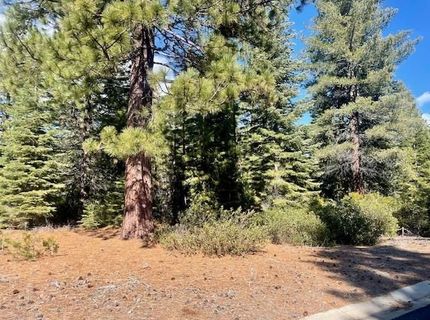 39 Grand Fir Road, Lake Almanor, CA 96137 Photo