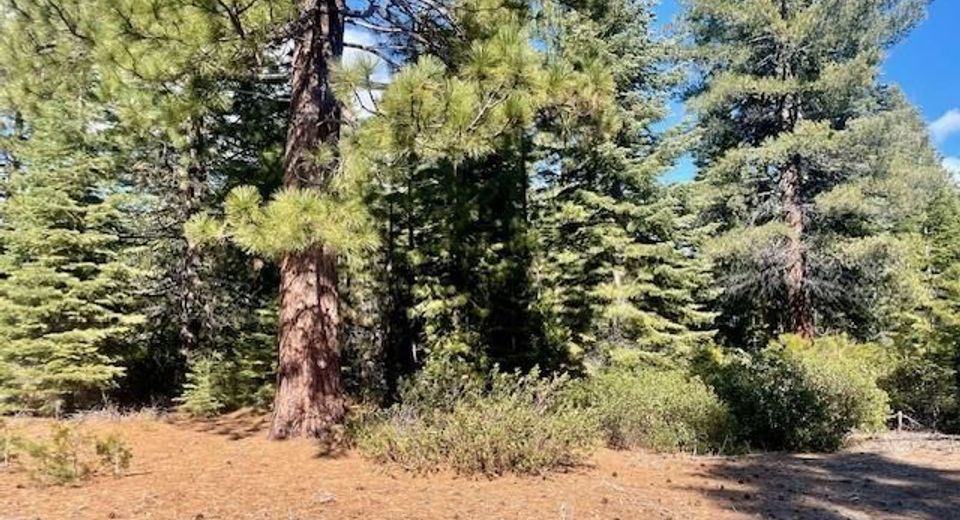 39 Grand Fir Road, Lake Almanor, CA 96137 Photo