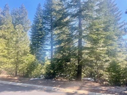 39 Grand Fir Road, Lake Almanor, CA 96137 Photo