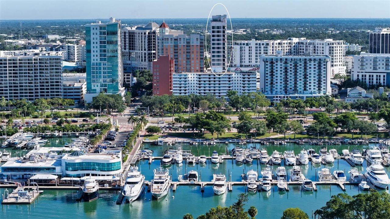 33 S Palm Avenue, Unit 902, Sarasota, FL 34236 Photo