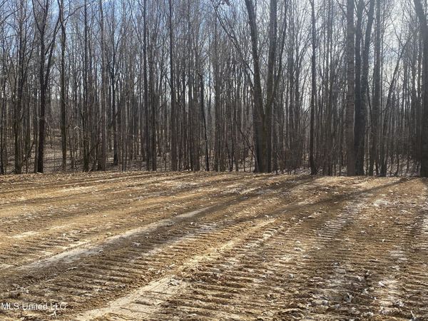 Longtown Road, Sarah, MS 38665