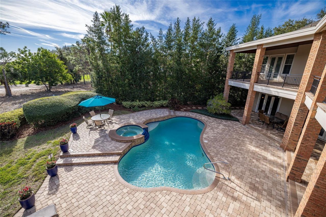 1151 Tinley Court, Palm Harbor, FL 34683 Photo