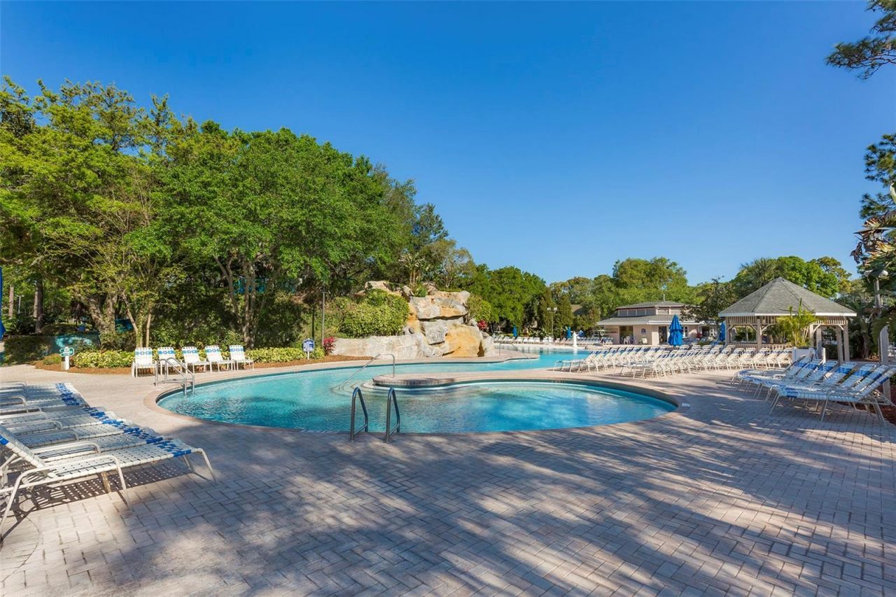 1151 Tinley Court, Palm Harbor, FL 34683 Photo