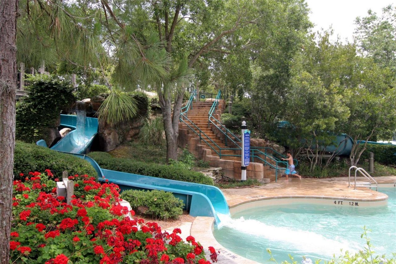 1151 Tinley Court, Palm Harbor, FL 34683 Photo