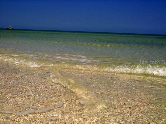 1151 Tinley Court, Palm Harbor, FL 34683 Photo