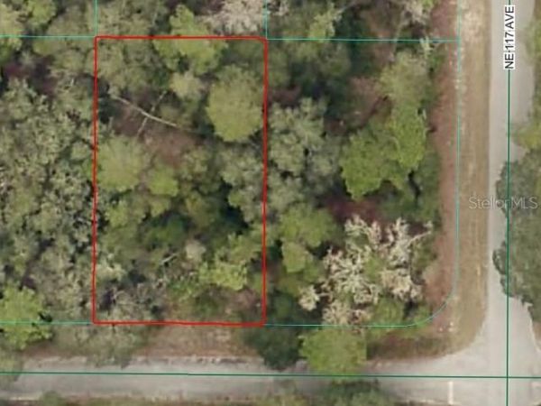 NE 239TH ST, FORT MC COY, FL 32134