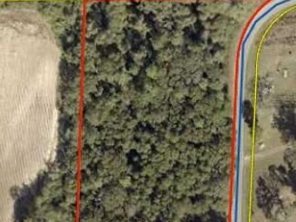 0 Dr Nelson Road, DeFuniak Springs, FL 32433