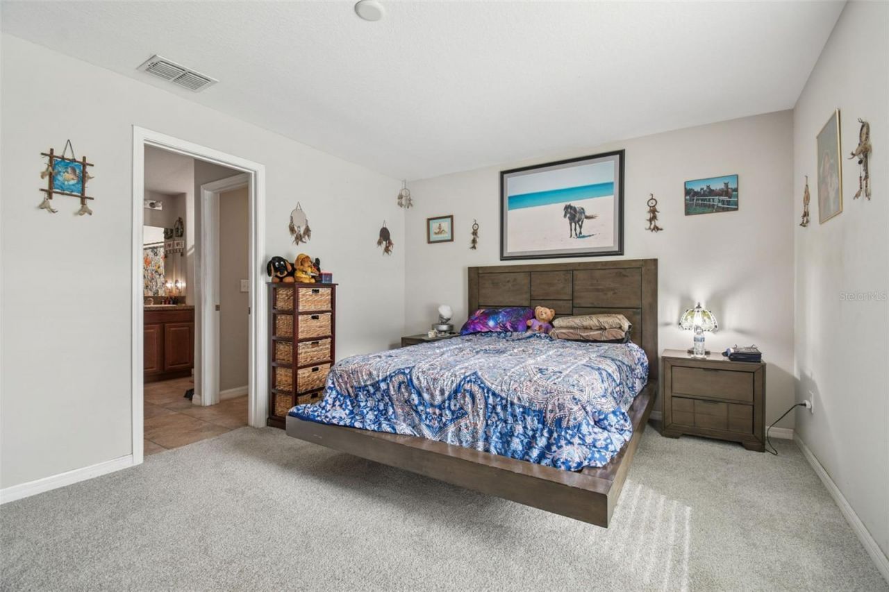 10248 Carloway Hills Drive, Wimauma, FL 33598 Photo