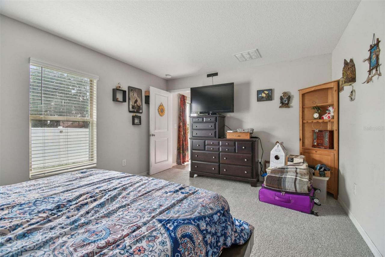 10248 Carloway Hills Drive, Wimauma, FL 33598 Photo