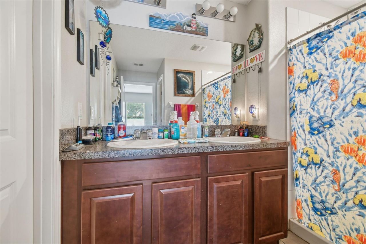 10248 Carloway Hills Drive, Wimauma, FL 33598 Photo