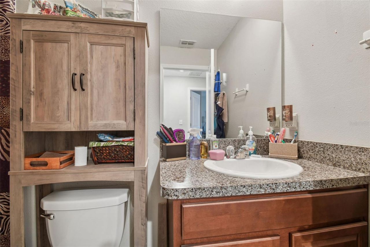 10248 Carloway Hills Drive, Wimauma, FL 33598 Photo