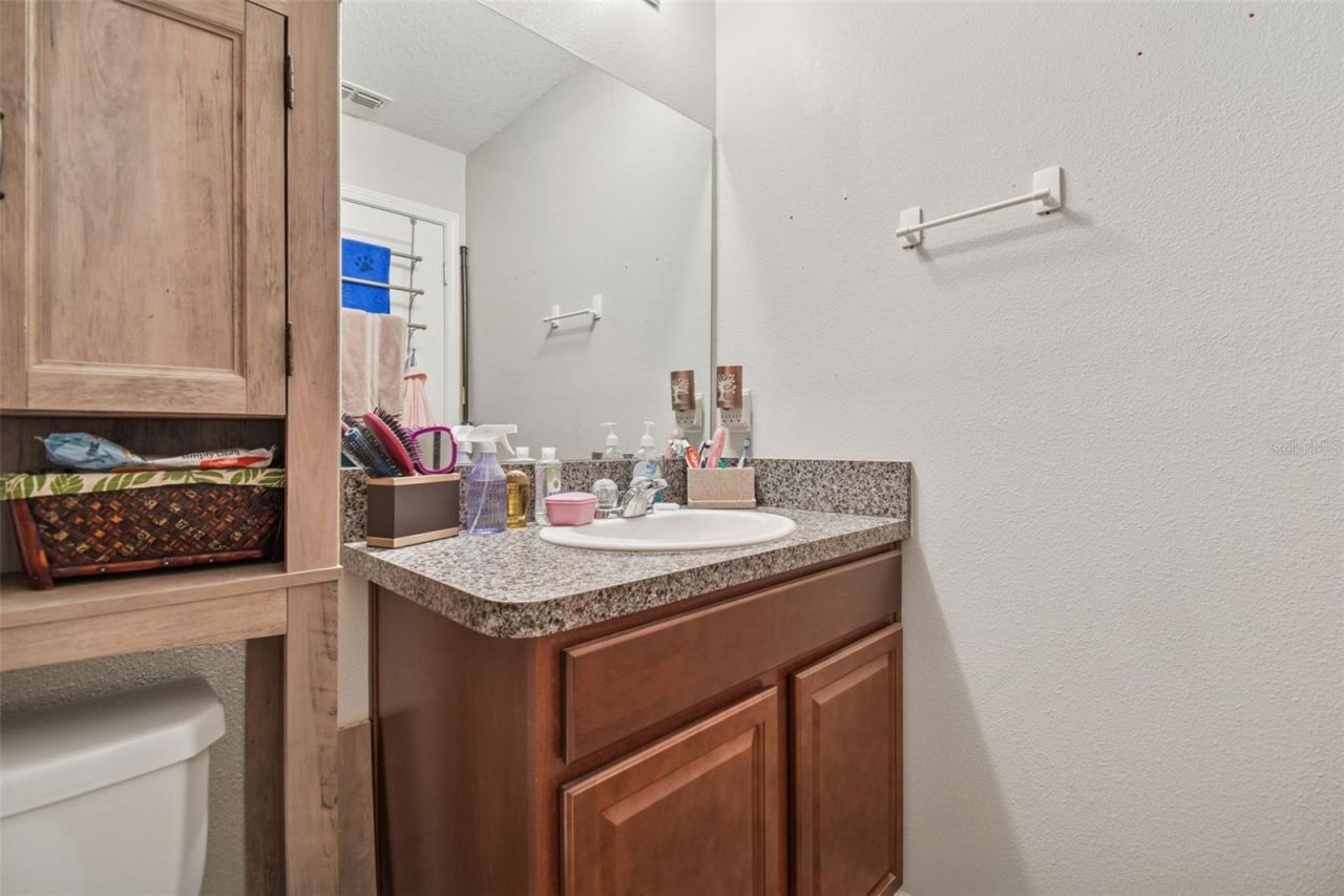 10248 Carloway Hills Drive, Wimauma, FL 33598 Photo