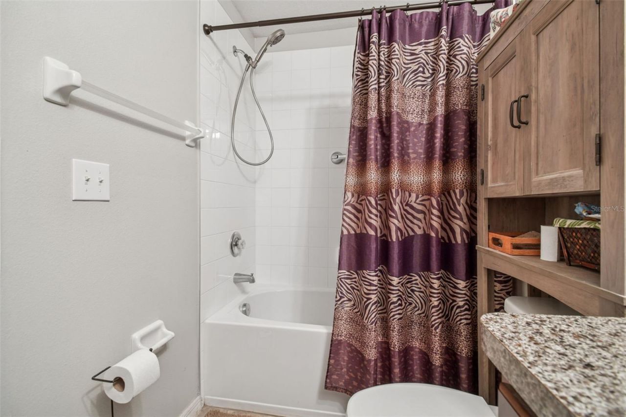 10248 Carloway Hills Drive, Wimauma, FL 33598 Photo