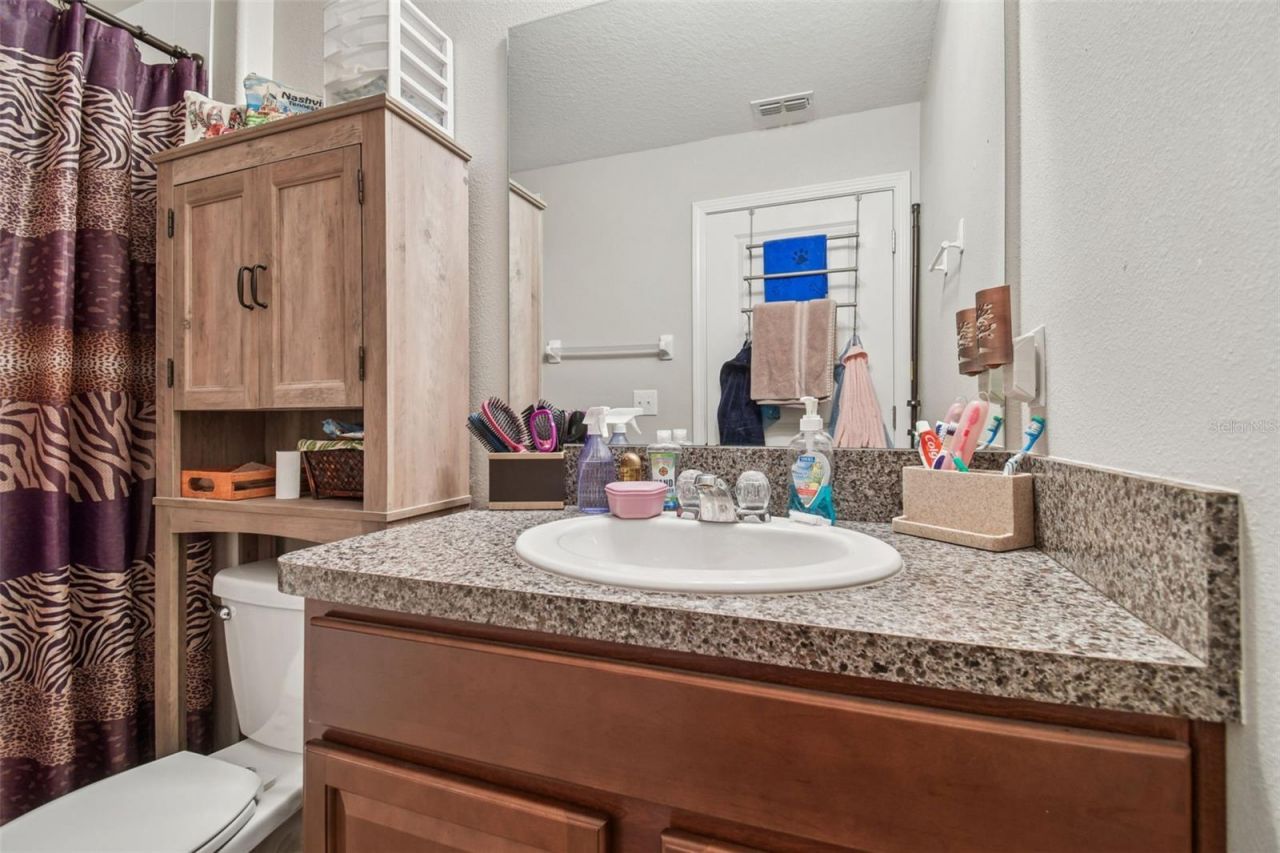 10248 Carloway Hills Drive, Wimauma, FL 33598 Photo