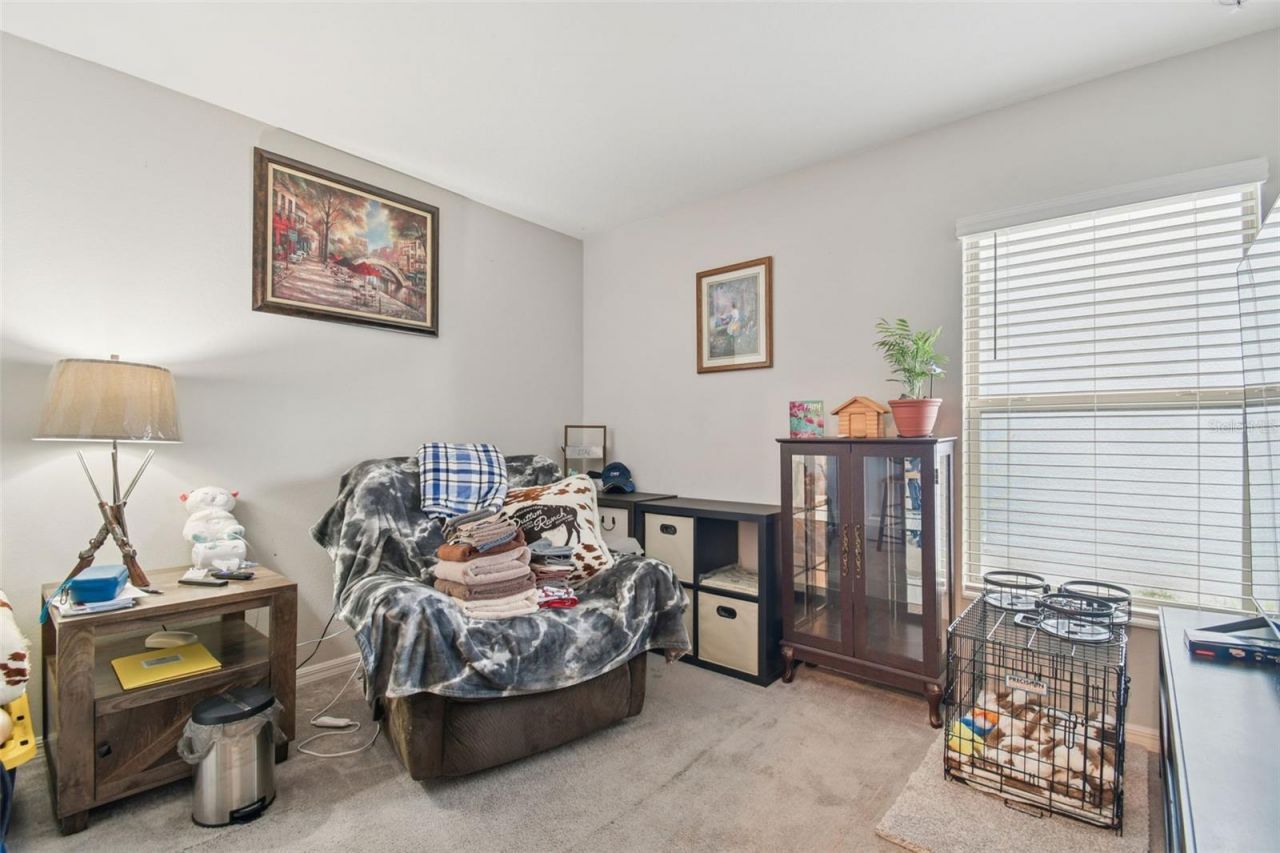 10248 Carloway Hills Drive, Wimauma, FL 33598 Photo