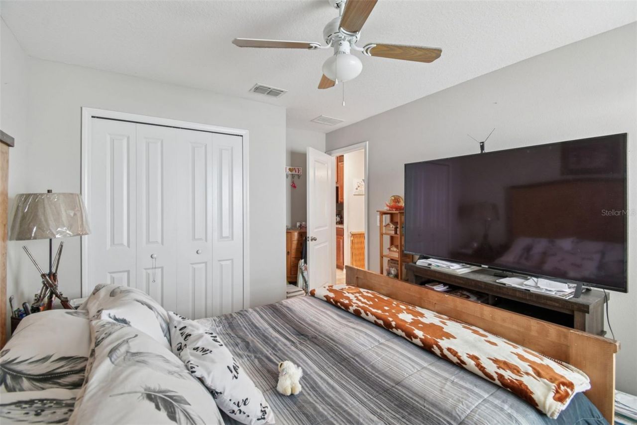 10248 Carloway Hills Drive, Wimauma, FL 33598 Photo