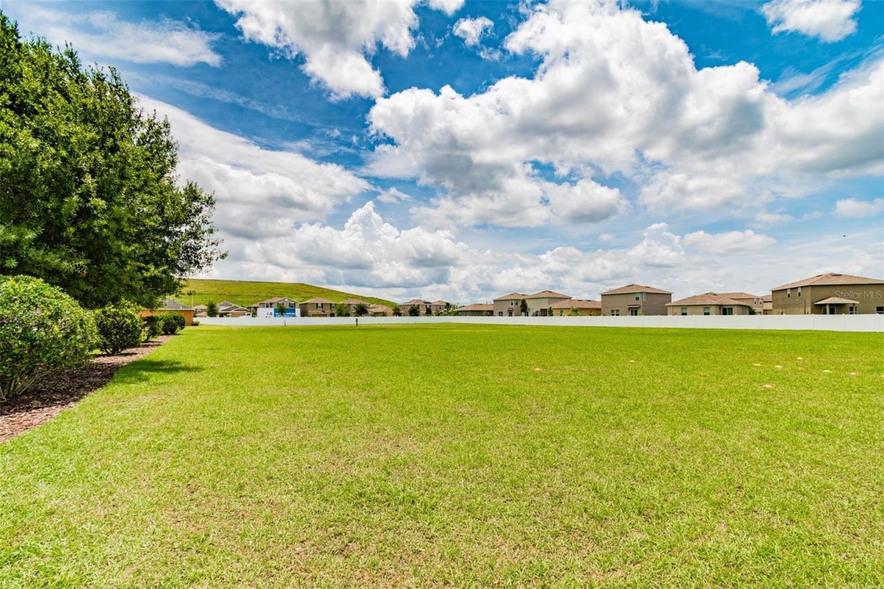 10248 Carloway Hills Drive, Wimauma, FL 33598 Photo