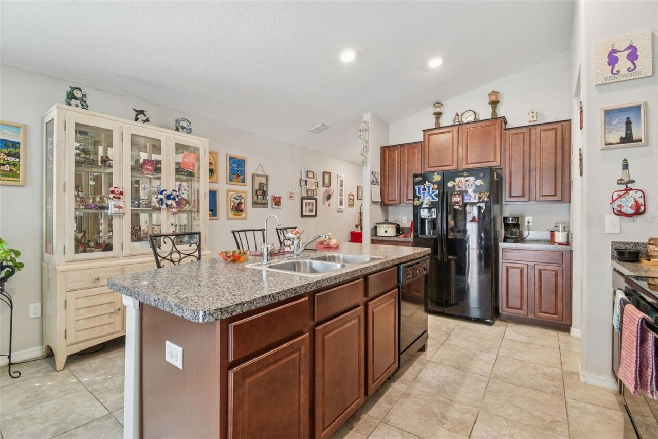 10248 Carloway Hills Drive, Wimauma, FL 33598 Photo