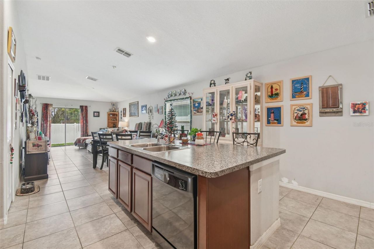 10248 Carloway Hills Drive, Wimauma, FL 33598 Photo