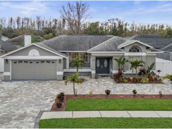 6528 STEEPLECHASE DRIVE, TAMPA, FL 33625