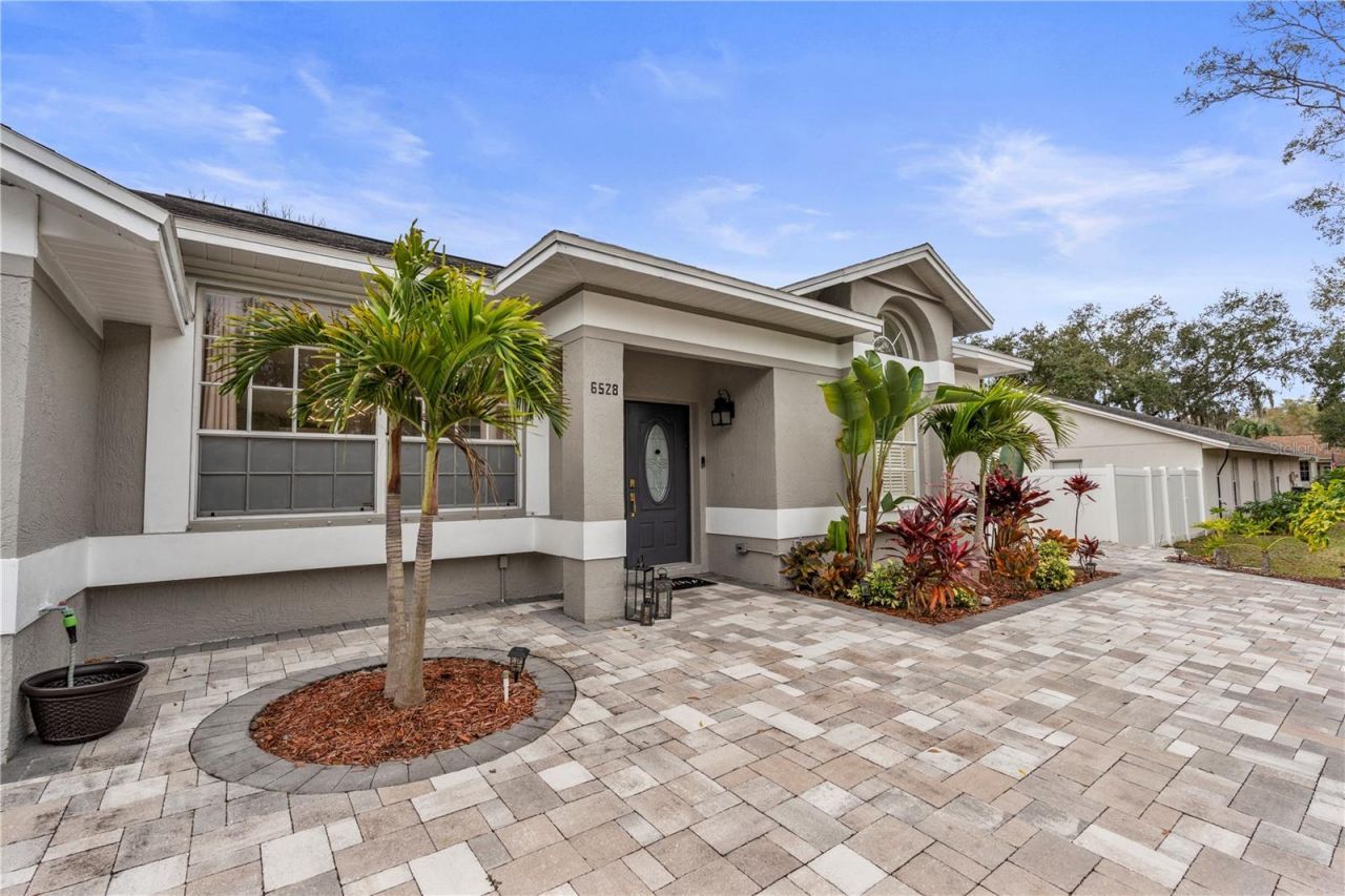 6528 Steeplechase Drive, Tampa, FL 33625 Photo