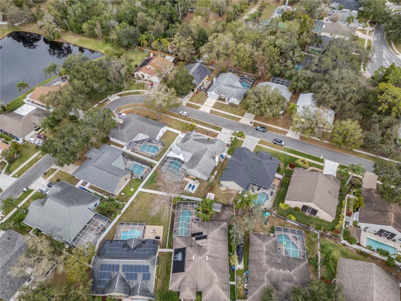 6528 Steeplechase Drive, Tampa, FL 33625 Photo