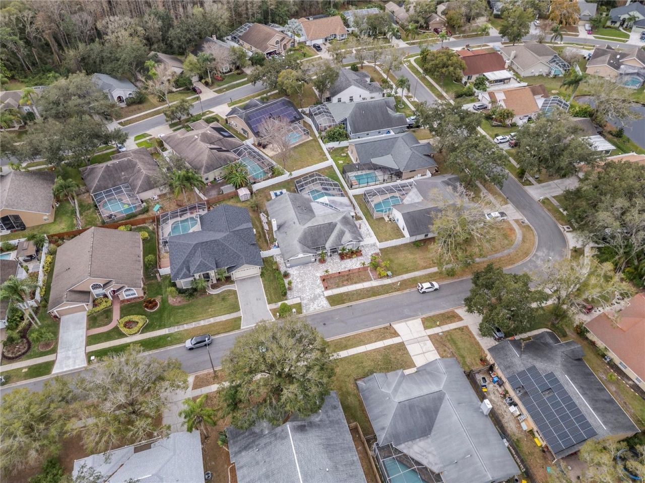 6528 Steeplechase Drive, Tampa, FL 33625 Photo