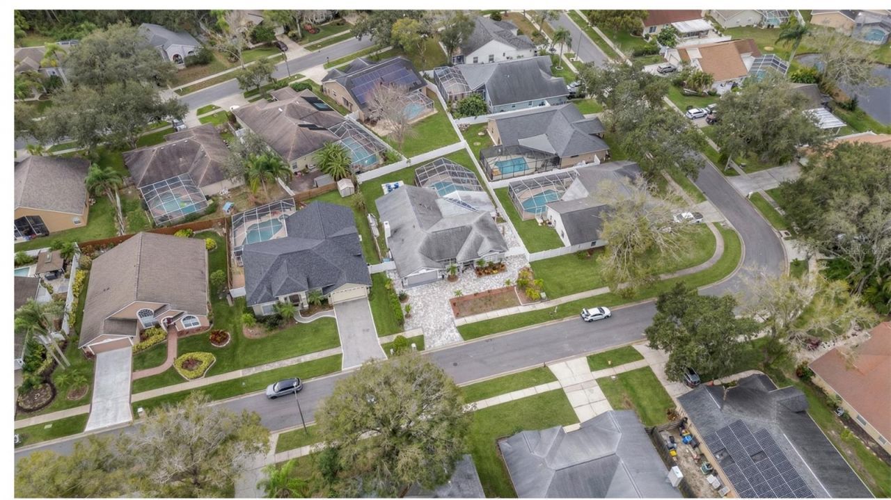 6528 Steeplechase Drive, Tampa, FL 33625 Photo