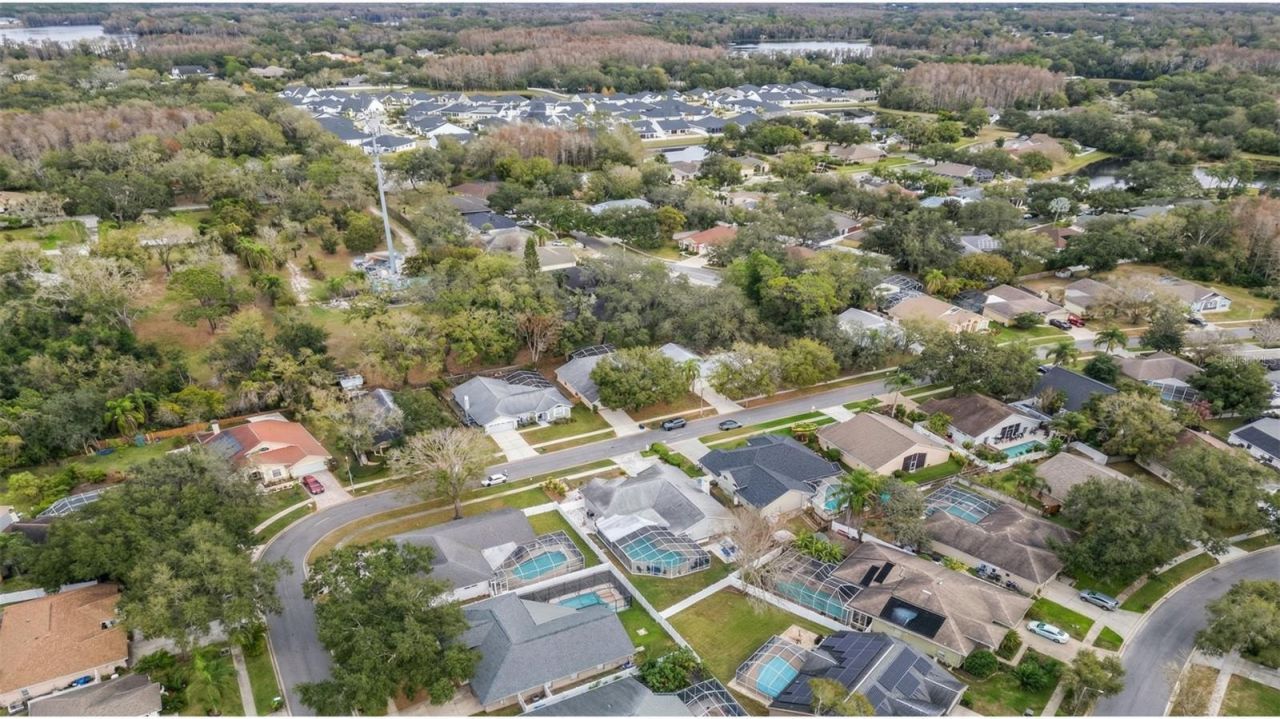 6528 Steeplechase Drive, Tampa, FL 33625 Photo