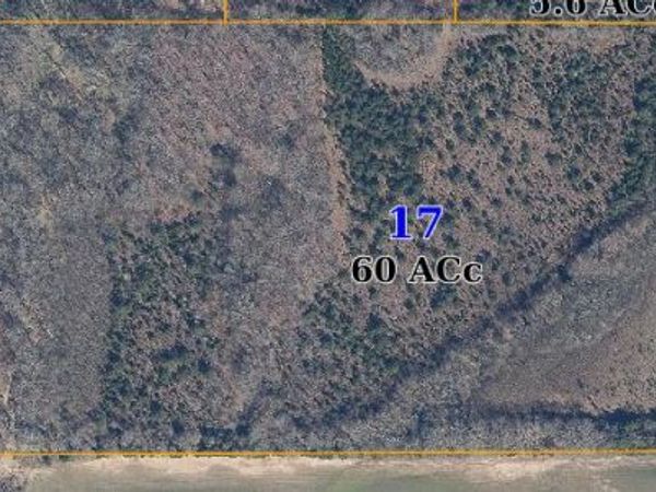 Prospect Road, Nettleton, MS 38858