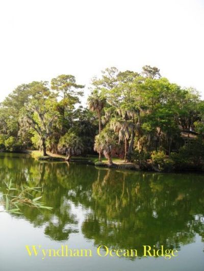 796 Summerwind Circle Photo 49