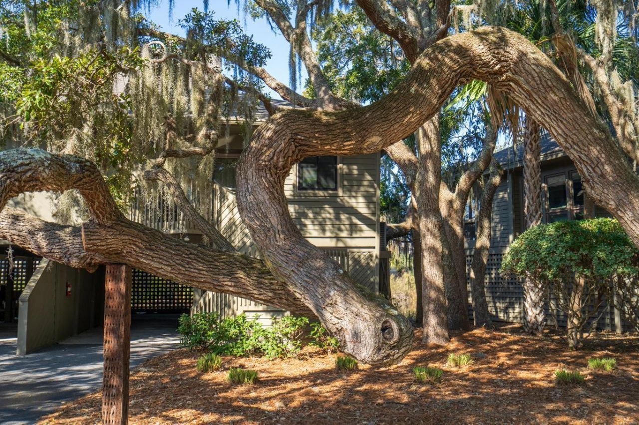 796 Summerwind Circle Photo 5