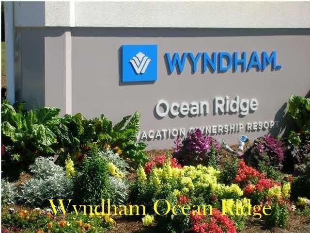 796 Summerwind Circle Photo 52