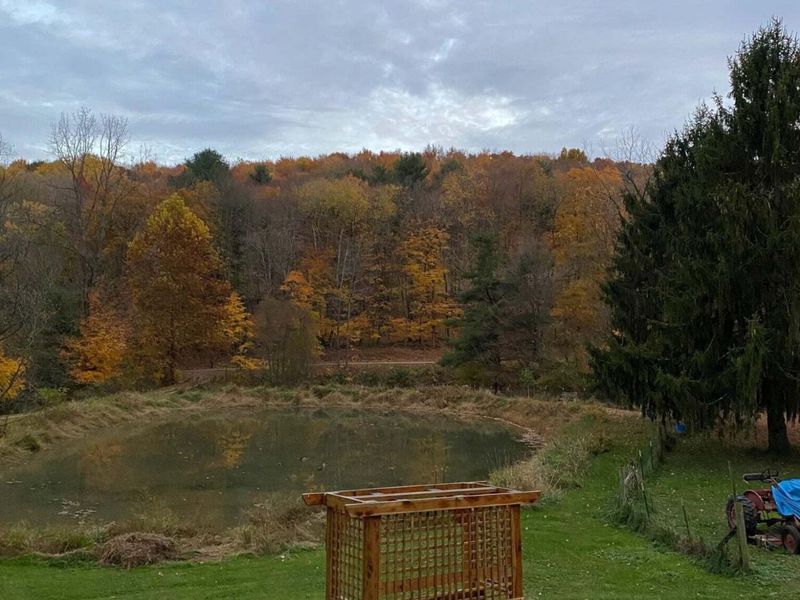 12117 Techniglas Road, Saint Louisville, OH 43071 Photo 10