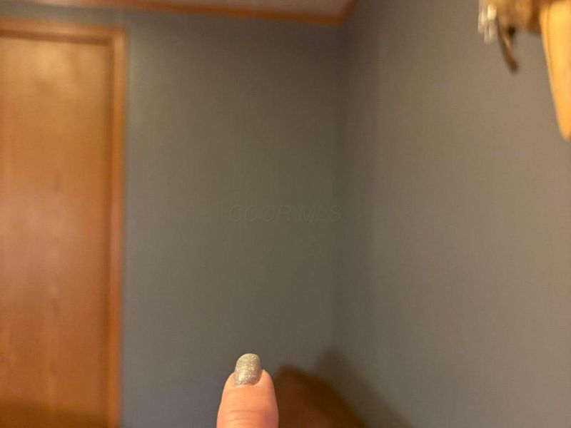 12117 Techniglas Road, Saint Louisville, OH 43071 Photo 20