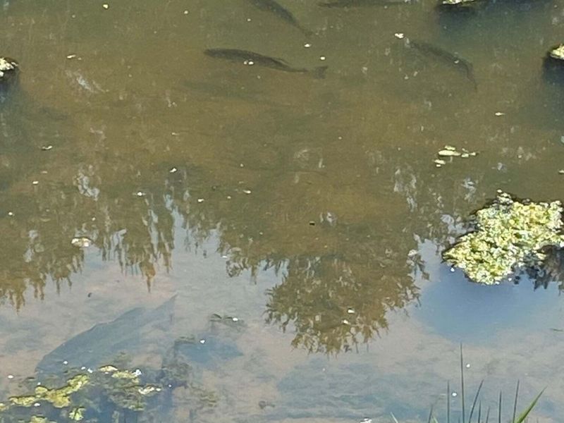 12117 Techniglas Road, Saint Louisville, OH 43071 Photo 5