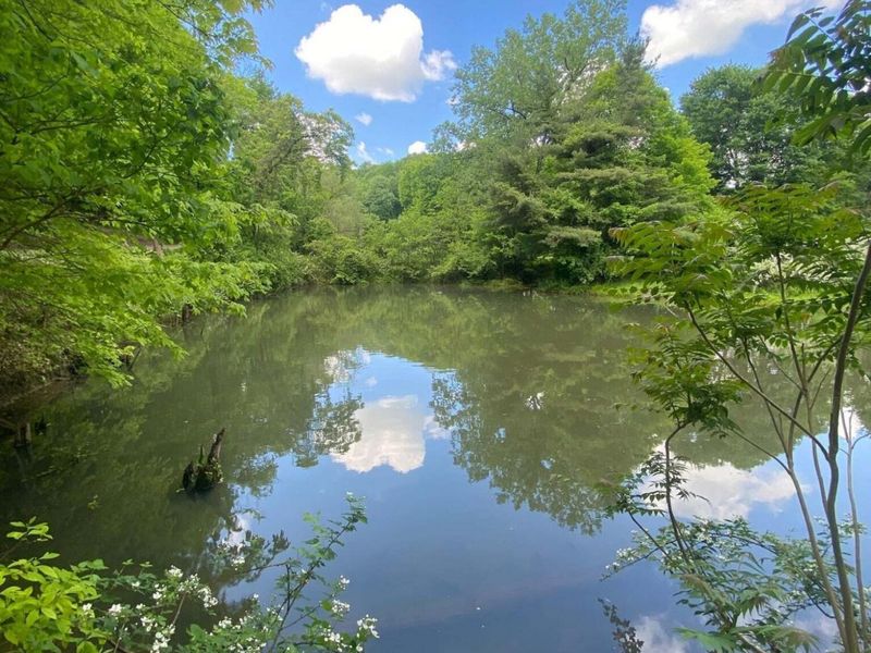 12117 Techniglas Road, Saint Louisville, OH 43071 Photo 7