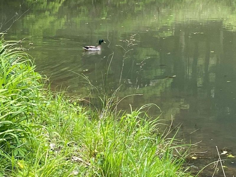 12117 Techniglas Road, Saint Louisville, OH 43071 Photo 9